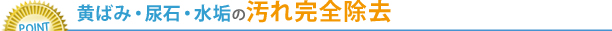 |Cg1