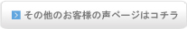 ̑̂ql̐y[W̓R`
